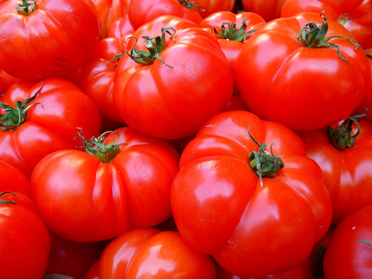 Big Red – The Tomatoes Are Coming